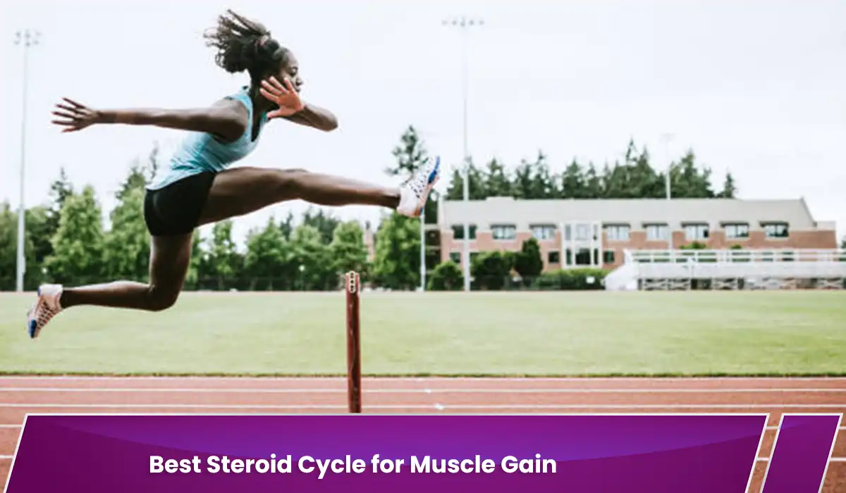 Best Steroid Cycle for Muscle Gain for Beginners in the Field