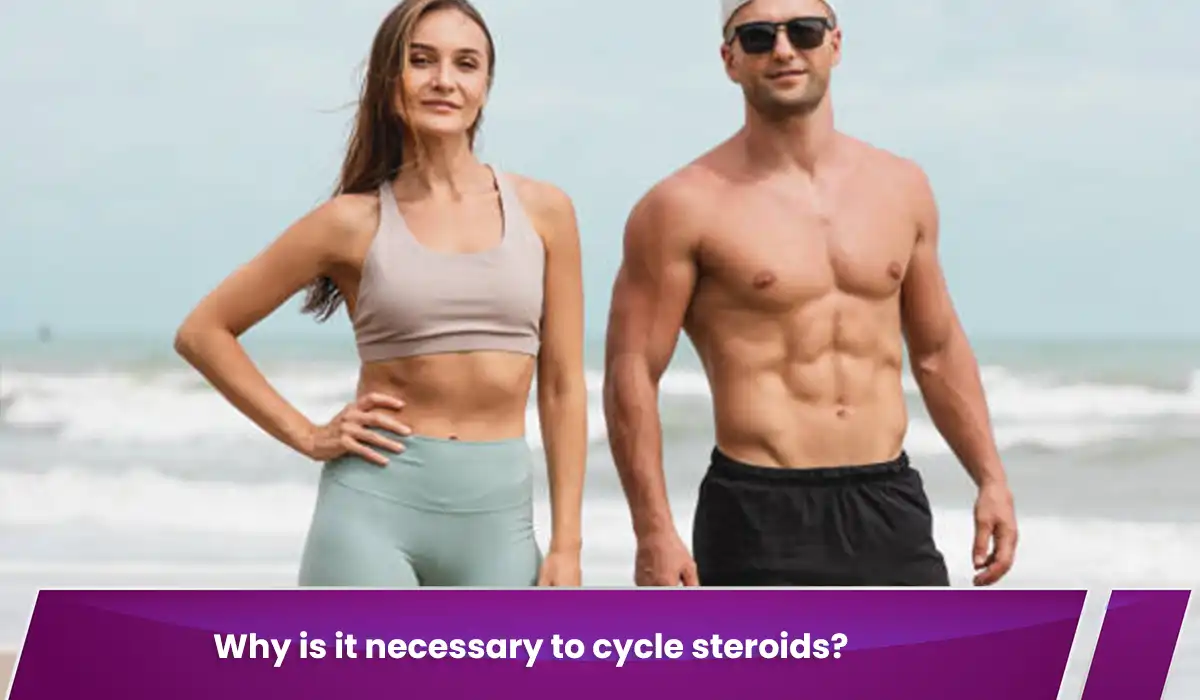 Why is it necessary to cycle steroids?
