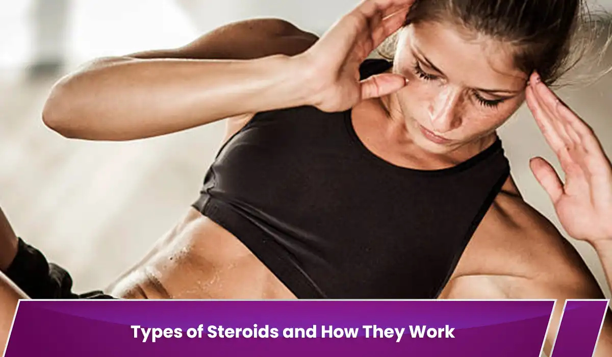 Types of Steroids and How They Work