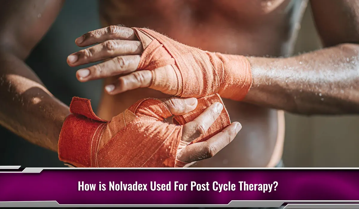 How is Nolvadex Used For Post Cycle Therapy?